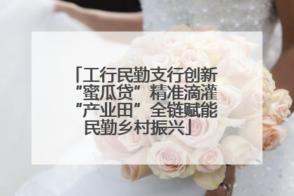 工行民勤支行创新“蜜瓜贷”精准滴灌“产业田”全链赋能民勤乡村振兴