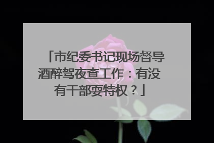 市纪委书记现场督导酒醉驾夜查工作：有没有干部耍特权？