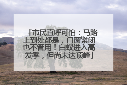市民直呼可怕：马路上到处都是，门窗紧闭也不管用！白蚁进入高发季，但尚未达顶峰
