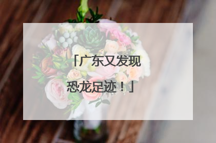 广东又发现恐龙足迹！
