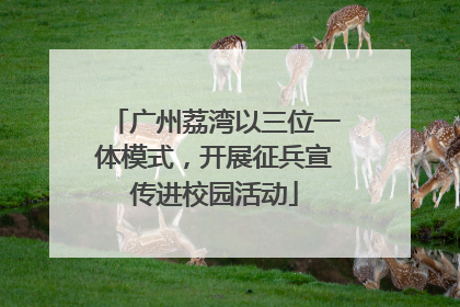 广州荔湾以三位一体模式，开展征兵宣传进校园活动