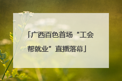 广西百色首场“工会帮就业”直播落幕