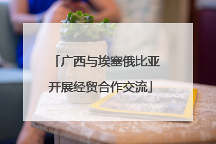广西与埃塞俄比亚开展经贸合作交流