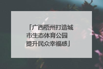 广西梧州打造城市生态体育公园 提升民众幸福感