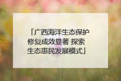 广西海洋生态保护修复成效显著 探索生态惠民发展模式