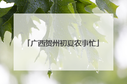 广西贺州初夏农事忙