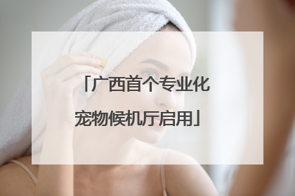 广西首个专业化宠物候机厅启用