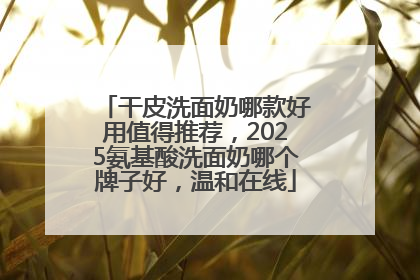 干皮洗面奶哪款好用值得推荐，2025氨基酸洗面奶哪个牌子好，温和在线
