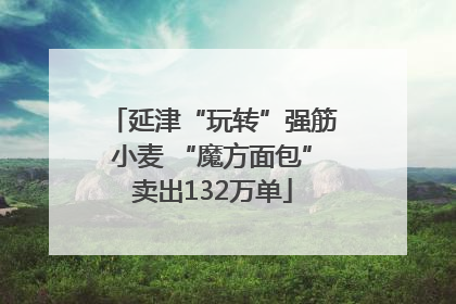 延津“玩转”强筋小麦 “魔方面包”卖出132万单