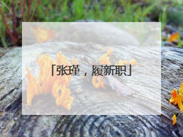 张瑾，履新职