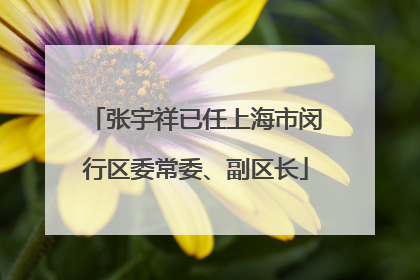 张宇祥已任上海市闵行区委常委、副区长
