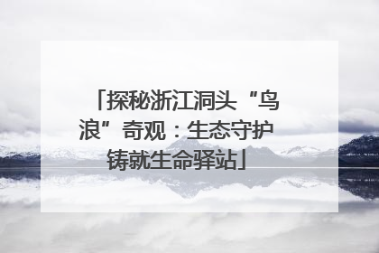 探秘浙江洞头“鸟浪”奇观：生态守护铸就生命驿站