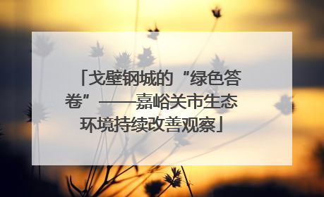 戈壁钢城的“绿色答卷”——嘉峪关市生态环境持续改善观察