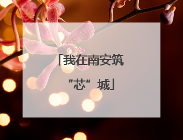 我在南安筑“芯”城