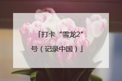 打卡“雪龙2”号（记录中国）