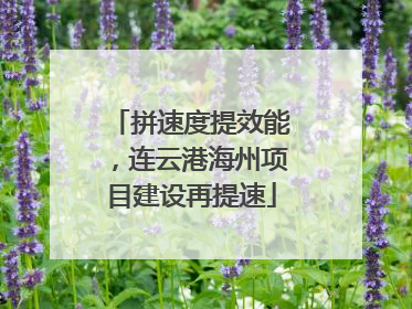 拼速度提效能，连云港海州项目建设再提速
