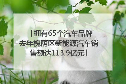拥有65个汽车品牌 去年槐荫区新能源汽车销售额达113.9亿元