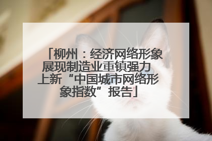 柳州：经济网络形象展现制造业重镇强力 上新“中国城市网络形象指数”报告