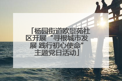 杨园街道欧景苑社区开展“寻根城市发展 践行初心使命”主题党日活动