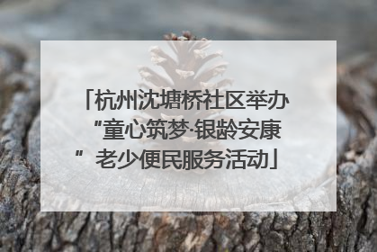 杭州沈塘桥社区举办“童心筑梦·银龄安康”老少便民服务活动