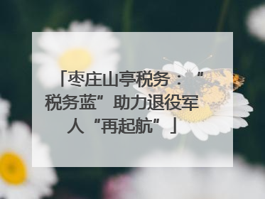 枣庄山亭税务：“税务蓝”助力退役军人“再起航”