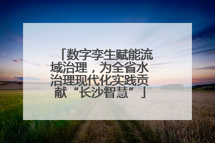 数字孪生赋能流域治理，为全省水治理现代化实践贡献“长沙智慧”