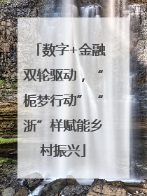 数字+金融双轮驱动，“栀梦行动”“浙”样赋能乡村振兴