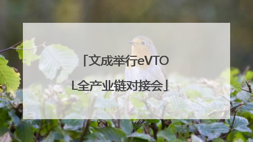 文成举行eVTOL全产业链对接会