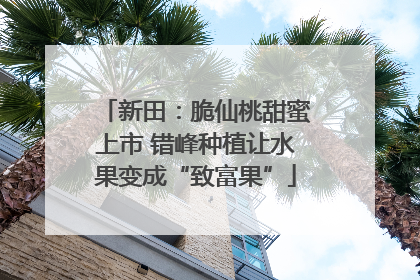 新田：脆仙桃甜蜜上市 错峰种植让水果变成“致富果”