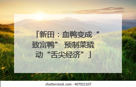 新田：血鸭变成“致富鸭” 预制菜撬动“舌尖经济”