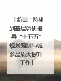 新田：陈雄到基层调研指导“十五五”规划编制与城乡品质大提升工作