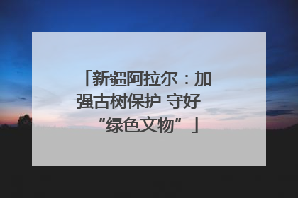 新疆阿拉尔：加强古树保护 守好“绿色文物”