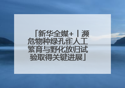 新华全媒+丨濒危物种绿孔雀人工繁育与野化放归试验取得关键进展