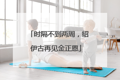 时隔不到两周，绍伊古再见金正恩