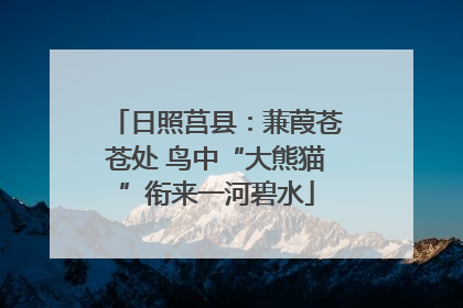 日照莒县：蒹葭苍苍处 鸟中“大熊猫”衔来一河碧水