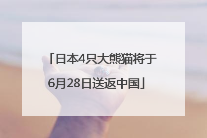 日本4只大熊猫将于6月28日送返中国