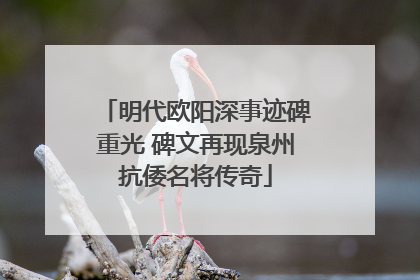 明代欧阳深事迹碑重光 碑文再现泉州抗倭名将传奇