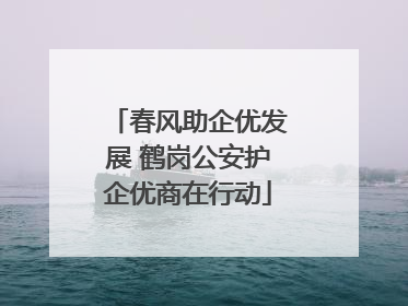 春风助企优发展 鹤岗公安护企优商在行动