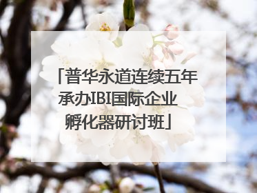 普华永道连续五年承办IBI国际企业孵化器研讨班