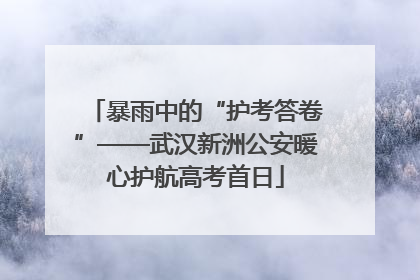 暴雨中的“护考答卷”——武汉新洲公安暖心护航高考首日