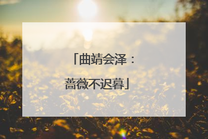 曲靖会泽：蔷薇不迟暮