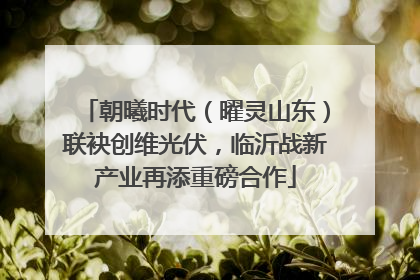 朝曦时代（曜灵山东）联袂创维光伏，临沂战新产业再添重磅合作