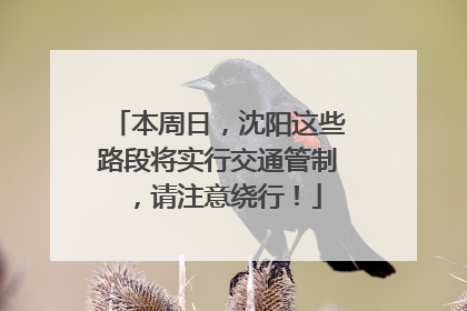 本周日，沈阳这些路段将实行交通管制，请注意绕行！