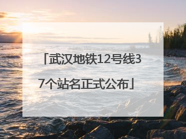 武汉地铁12号线37个站名正式公布