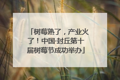 树莓熟了，产业火了！中国·封丘第十届树莓节成功举办
