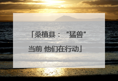 桑植县：“猛兽”当前 他们在行动