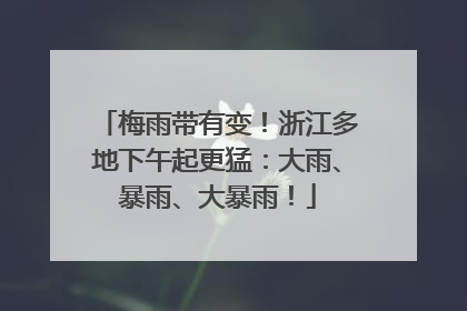 梅雨带有变！浙江多地下午起更猛：大雨、暴雨、大暴雨！