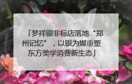 梦祥银非标店落地“郑州记忆”，以银为媒重塑东方美学消费新生态