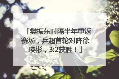 樊振东时隔半年重返赛场，乒超首轮对阵徐瑛彬，3:2获胜！