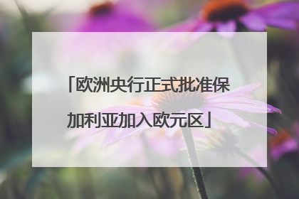 欧洲央行正式批准保加利亚加入欧元区
